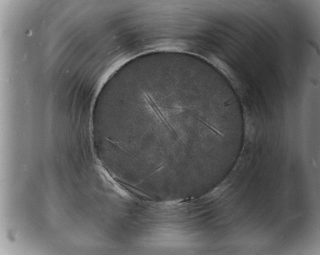 X0000103291240200809051452
