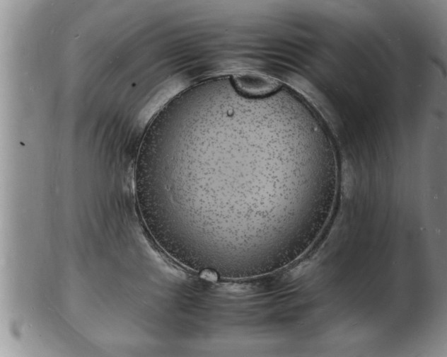 X0000103291241200809051452