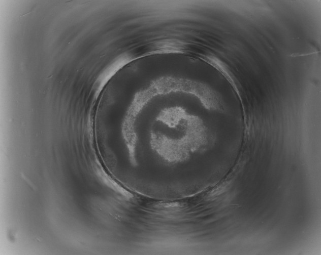 X0000103291243200809051452