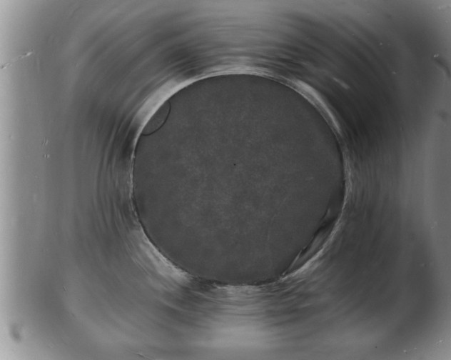 X0000103291244200809051452