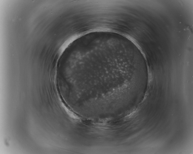 X0000103291245200809051452