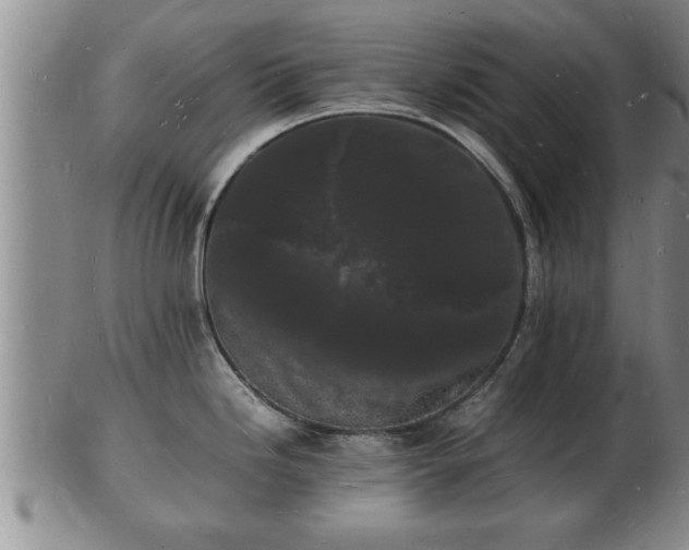 X0000103291246200809051452