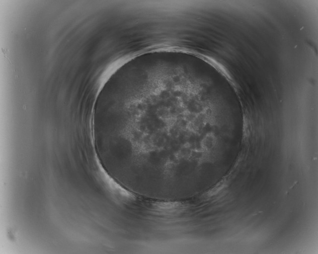 X0000103291247200809051452