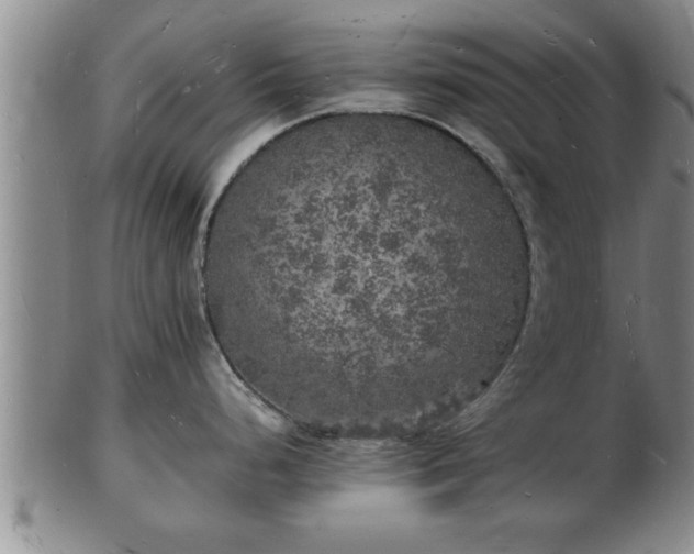 X0000103291248200809051452