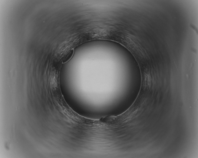 X0000103291250200809051451