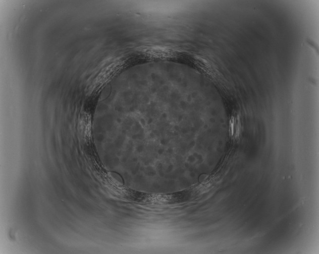 X0000103291251200809051451