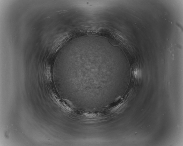 X0000103291252200809051451