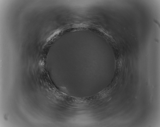 X0000103291254200809051451