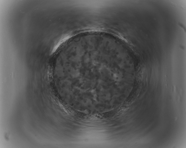 X0000103291255200809051451