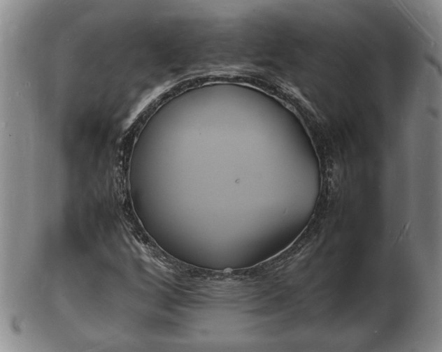 X0000103291256200809051451