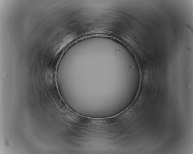 X0000103291258200809051451