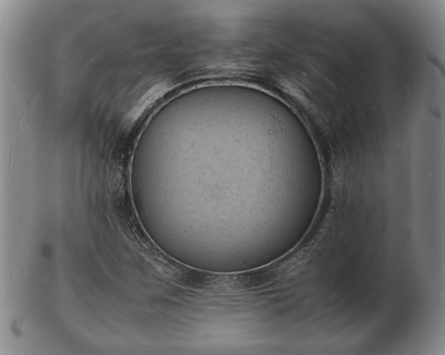 X0000103291259200809051451