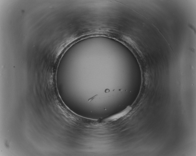 X0000103291260200809051451