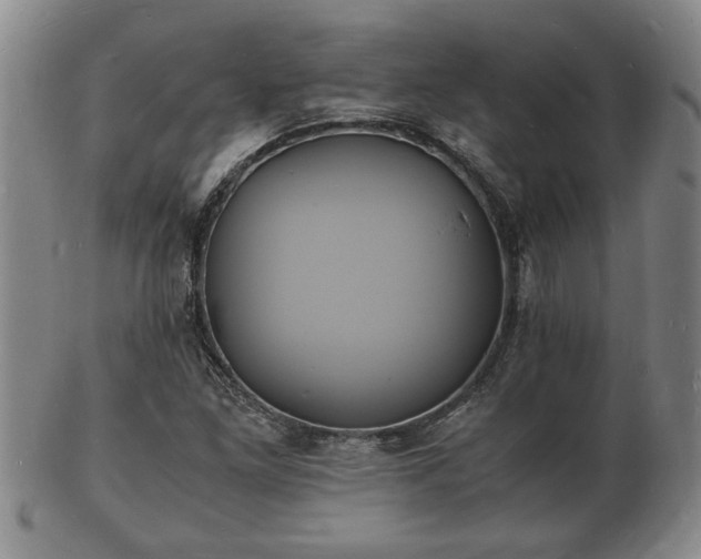 X0000103291261200809051451