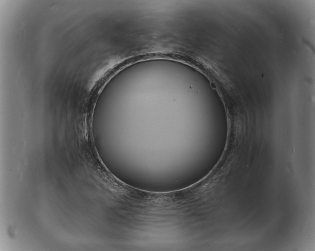 X0000103291262200809051451