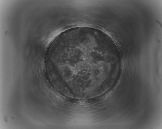 X0000103291263200809051451