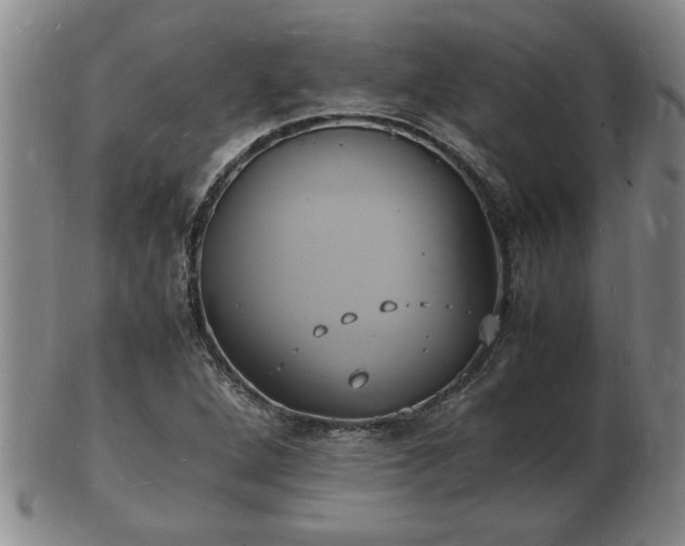 X0000103291264200809051451