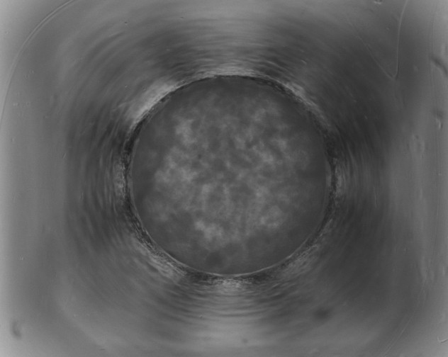 X0000103291266200809051451