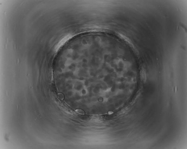 X0000103291267200809051451