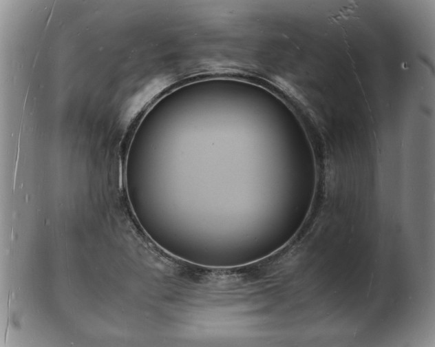 X0000103291269200809051451