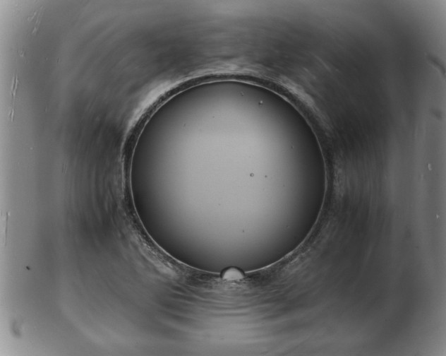 X0000103291270200809051451