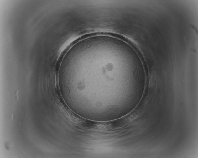 X0000103291271200809051451