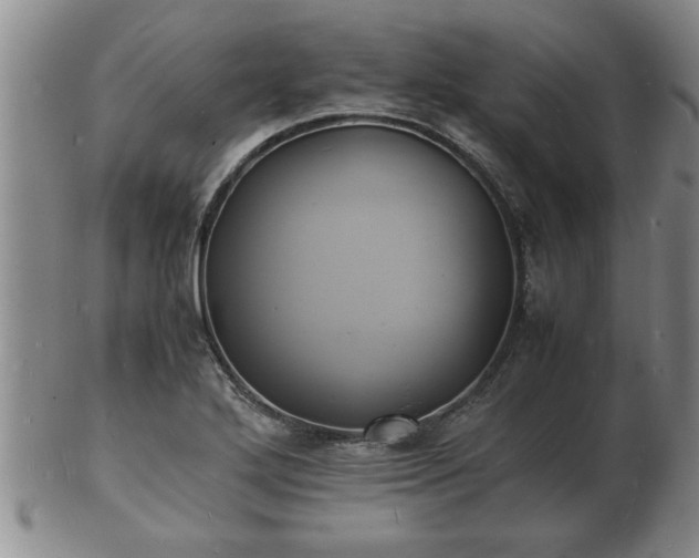 X0000103291272200809051451