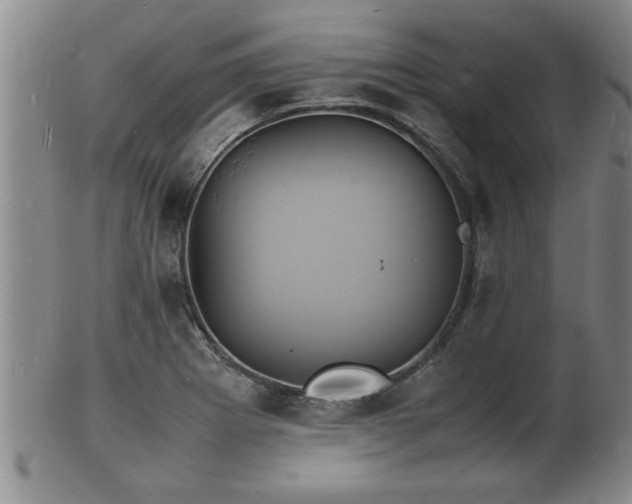 X0000103291273200809051451