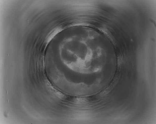 X0000103291274200809051451