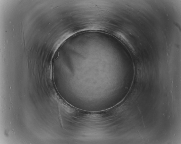 X0000103291276200809051451