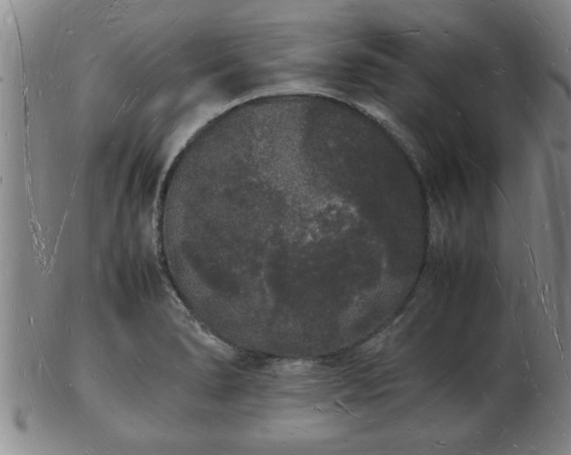 X0000103291278200809051451