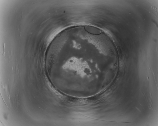 X0000103291279200809051451