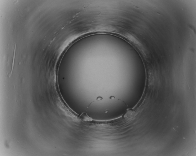 X0000103291280200809051451