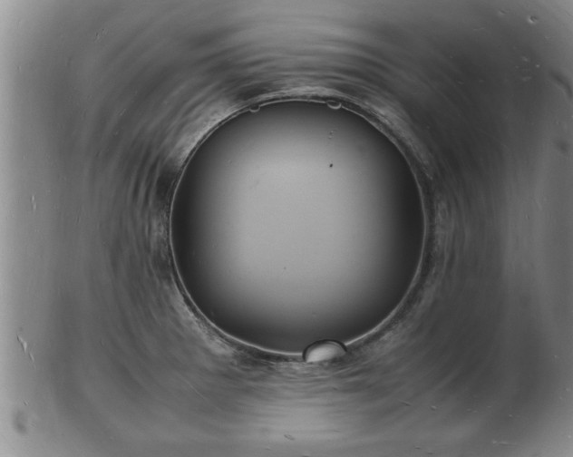 X0000103291281200809051451