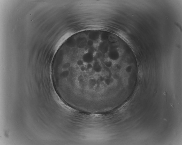 X0000103291283200809051451