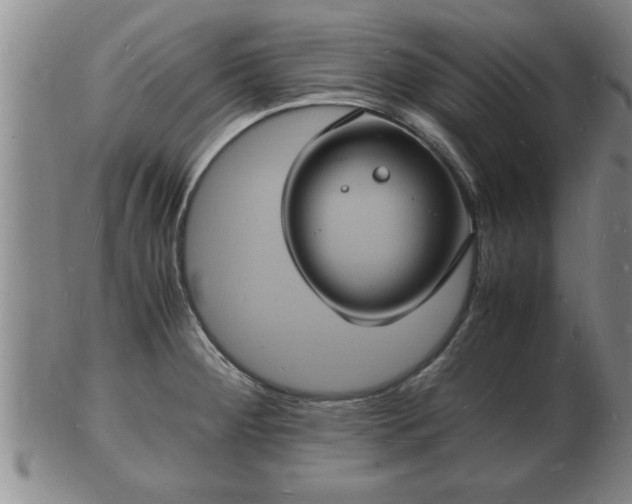 X0000103291284200809051451