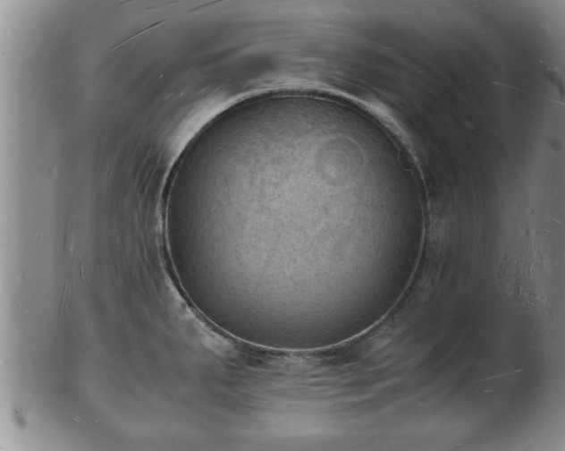 X0000103291287200809051451