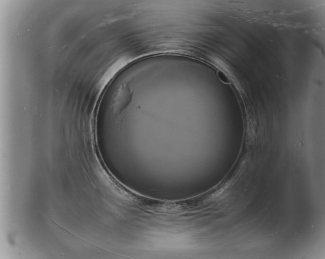 X0000103291291200809051451