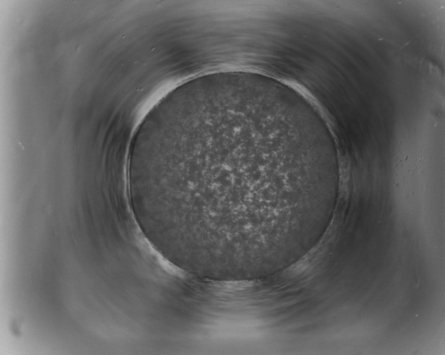 X0000103291294200809051451