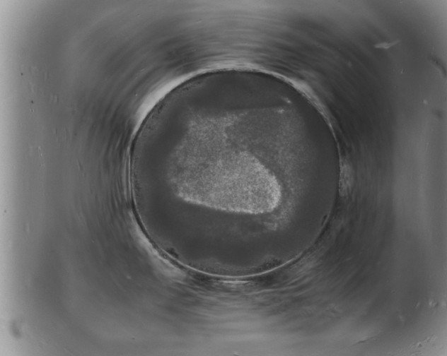 X0000103291295200809051451