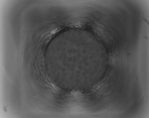 X0000103291297200809051450