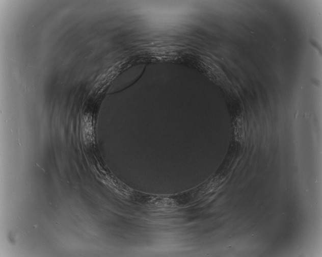 X0000103291298200809051450