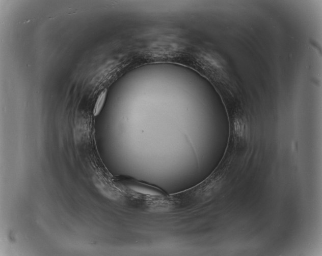 X0000103291300200809051450