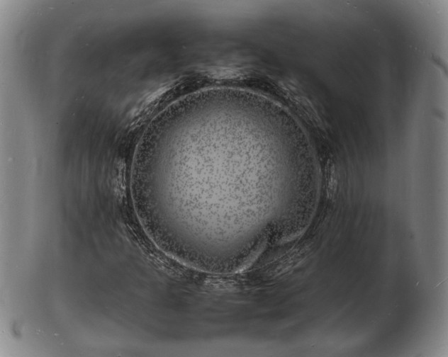 X0000103291301200809051450