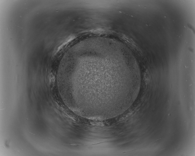 X0000103291302200809051450