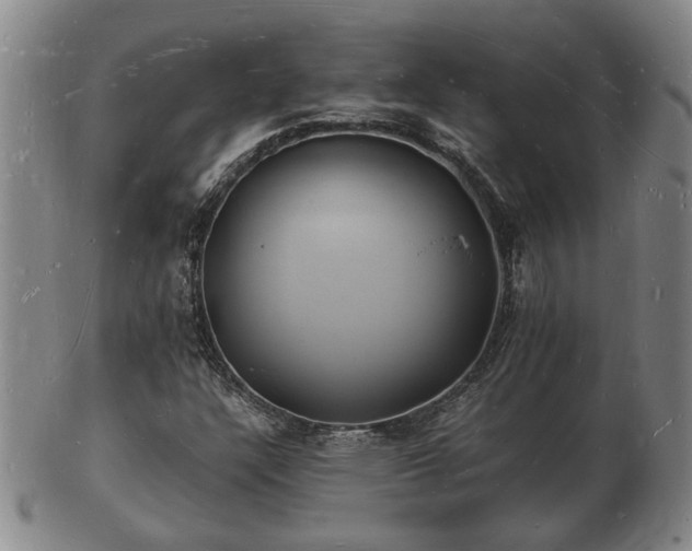 X0000103291304200809051450