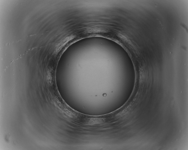 X0000103291305200809051450