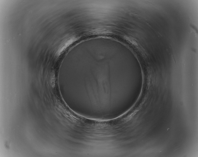 X0000103291306200809051450