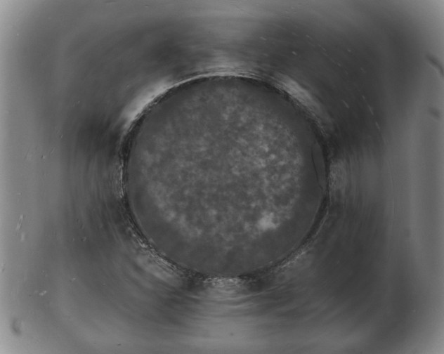 X0000103291310200809051450