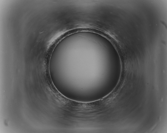 X0000103291311200809051450